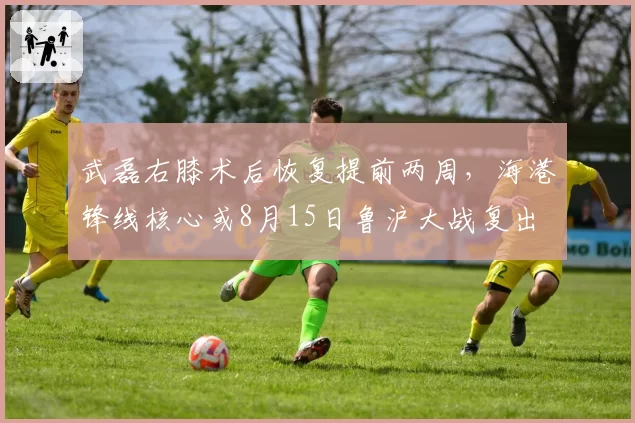武磊右膝术后恢复提前两周，海港锋线核心或8月15日鲁沪大战复出