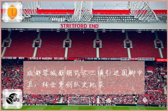 成都蓉城截胡武汉三镇引进国脚中卫,转会费创队史纪录