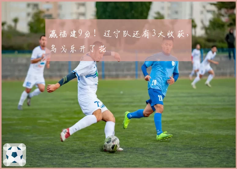 赢福建9分！辽宁队还有3大收获，乌戈乐开了花