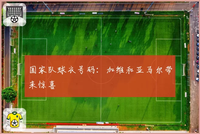 国家队球衣号码：加维和亚马尔带来惊喜