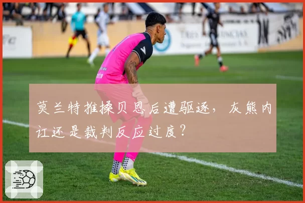 莫兰特推搡贝恩后遭驱逐，灰熊内讧还是裁判反应过度？