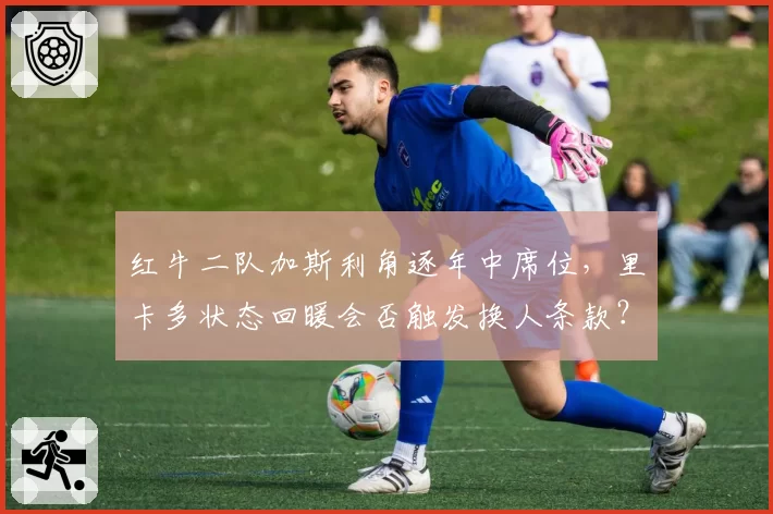 红牛二队加斯利角逐年中席位，里卡多状态回暖会否触发换人条款？