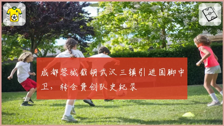 成都蓉城截胡武汉三镇引进国脚中卫,转会费创队史纪录